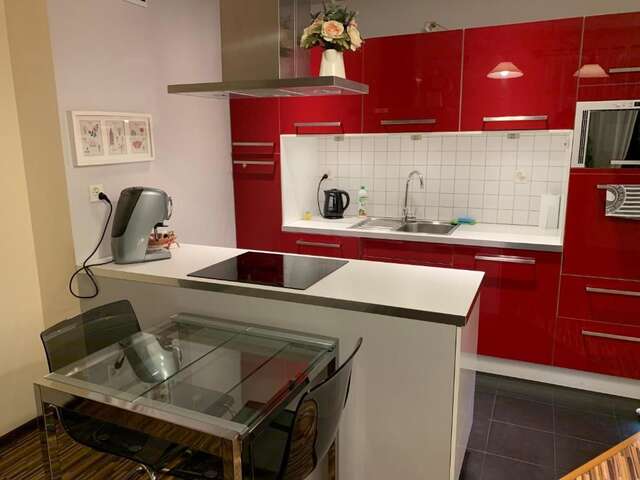 Апартаменты Apartament Podgórna 12 Торунь-61